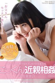 SDMU-209 ครอบครัวสุขสันต์ ซับไทย jav